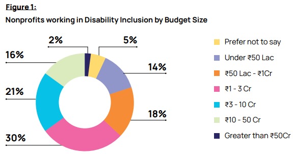 Nonprofits working in Disability Inclusion by Budget Size